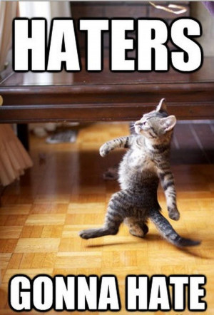 Funny Cat Haters Gonna Hate