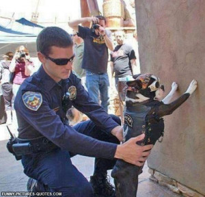 Assume the position!