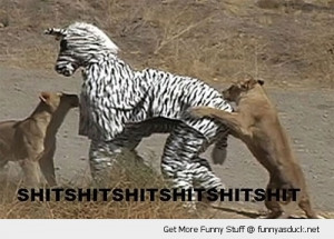shit zebra costume jungle lion animal funny pics pictures pic picture ...