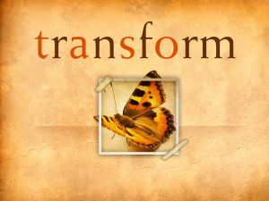 to be Transformed in 2011