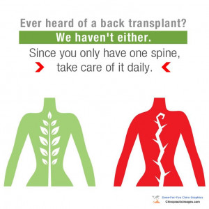 Ever heard of a back transplant? Neither have we. Since you only have ...