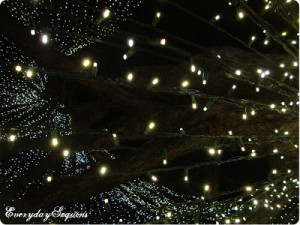 Posted by EverydaySequins at 9:00 AM