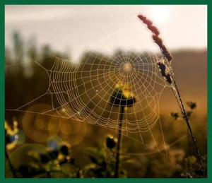 Uploaded to Pinterest