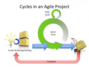 The Scrum Cycle