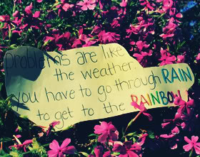 Funny Quotes About The...