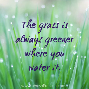 Navigation Home Inspirational Quotes The Grass Greener