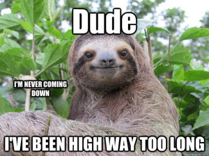Content Sloth Memes Quickmeme