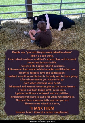 Cattle quotes