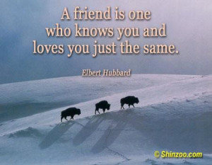 Friendship quotes