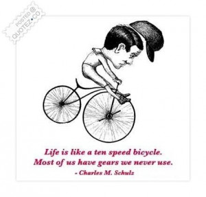 Life is like a ten speed bicycle quote