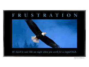 Soar Like an Eagle Quotes