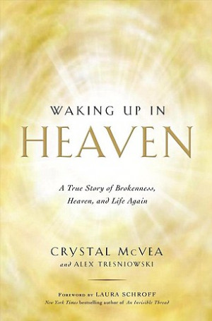 Spreading the word: A few years after her near-death experience, McVea ...