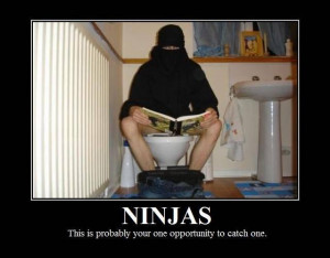 funny ninja in toilet hilarioustimecom picture