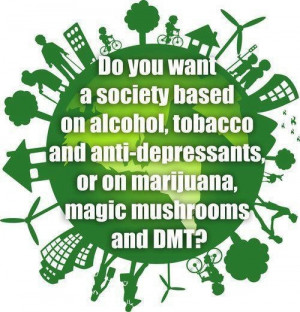 ... your mind open to the possibilities of marijuana, mushrooms and dmt