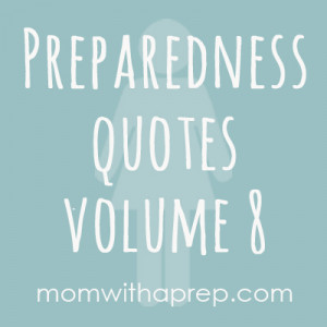 momwithaprep-prepquotevol8.jpg