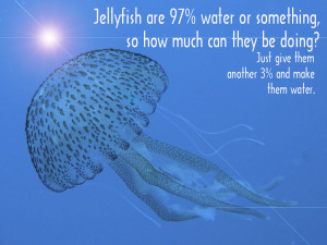 Quotes About Jelly http://slacktory.com/2012/04/beautiful-desktop ...