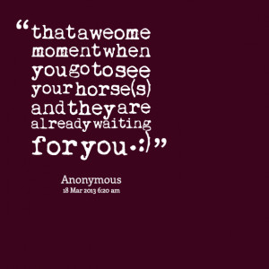 Quotes Picture: that aweome moment when you go to see your horse(s ...
