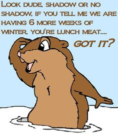 funny quotes and sayings more humor jokes ground hog funny boards ...