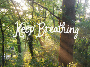 keep breathing, nature, quote, sun, trees