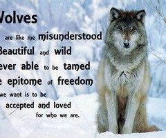 Wise Wolf Quotes