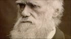 la révolution darwiniste
