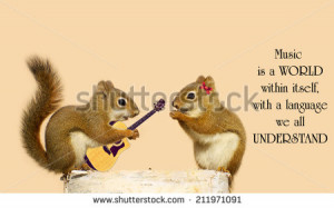 quote on music by Stevie Wonder with a young male squirrel ...