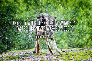 Anybody who doesn't know what soap tastes like never washed a dog.