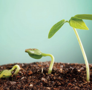 Growing Up Quotes For Girls Tumblr About Life Beauty About Boys ...