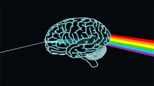 图片标签：大脑,脑部,创意,左右脑,思考,1920*1080