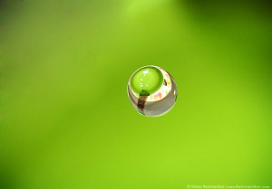 Green Water Drop HD Wallpaper