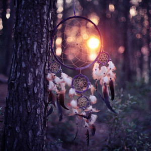 beautiful, dream, dream catcher, forest, mist, photography, sunset