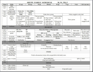 Large Family House Cleaning - Getting it Done, & When To Do The1061