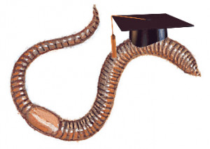 Earthworm Diagram Unlabeled