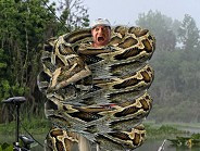 BLOG - Funny Anaconda Pictures