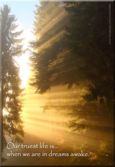 Our truest life is... when we are in dreams awake.