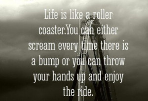 life-is-like-a-roller-coaster-daily-quotes-sayings-pictures-380x260 ...