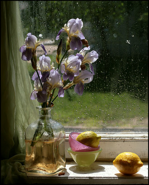 To analyze the charms of flowers is like dissecting music;