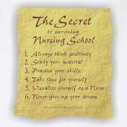the_secret_to_nursing_school_bbq_apron.jpg?height=250&width=250 ...