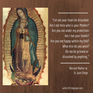 May Daybook - A Snapshot of My Life