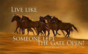 live like someone left the gate open :)look at my blog and follow it ...