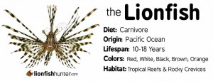 lionfish-facts