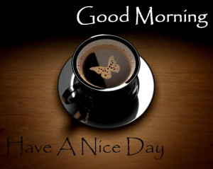 Download Good Morning Have A nice day wishes Quotes wallpaper