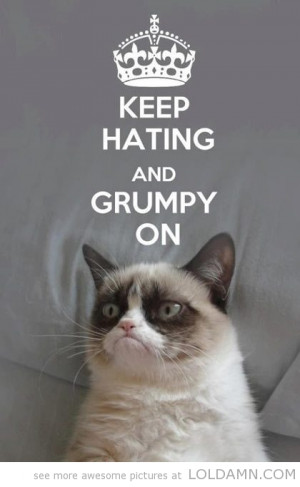 Funny Cats Top 49 Most Funniest Grumpy Cat Quotes