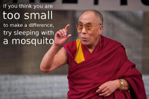 Dalai+Lama+Mosquito+Quote.jpg