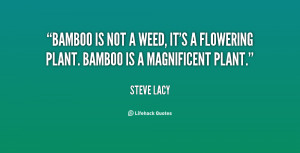 Quotes About Bamboo