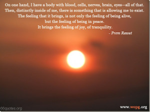 ... With Blood, Cells, Nerves, Brain, Eyes- All Of That… ~ Peace Quote