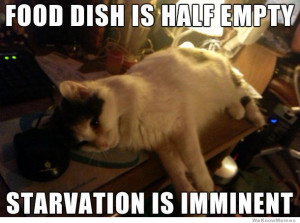Food dish is half empty starvation is imminent