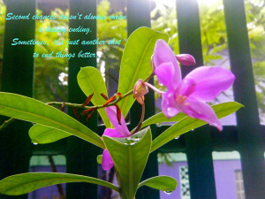 Second Chance Bible Quotes http://flowerbless.blogspot.com/2012/03 ...