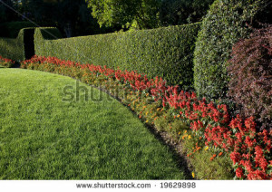 beautiful lawn and hedge, trimmed with flowers - stock photo