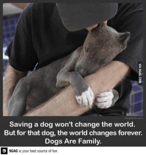 Dogs are family. Period.